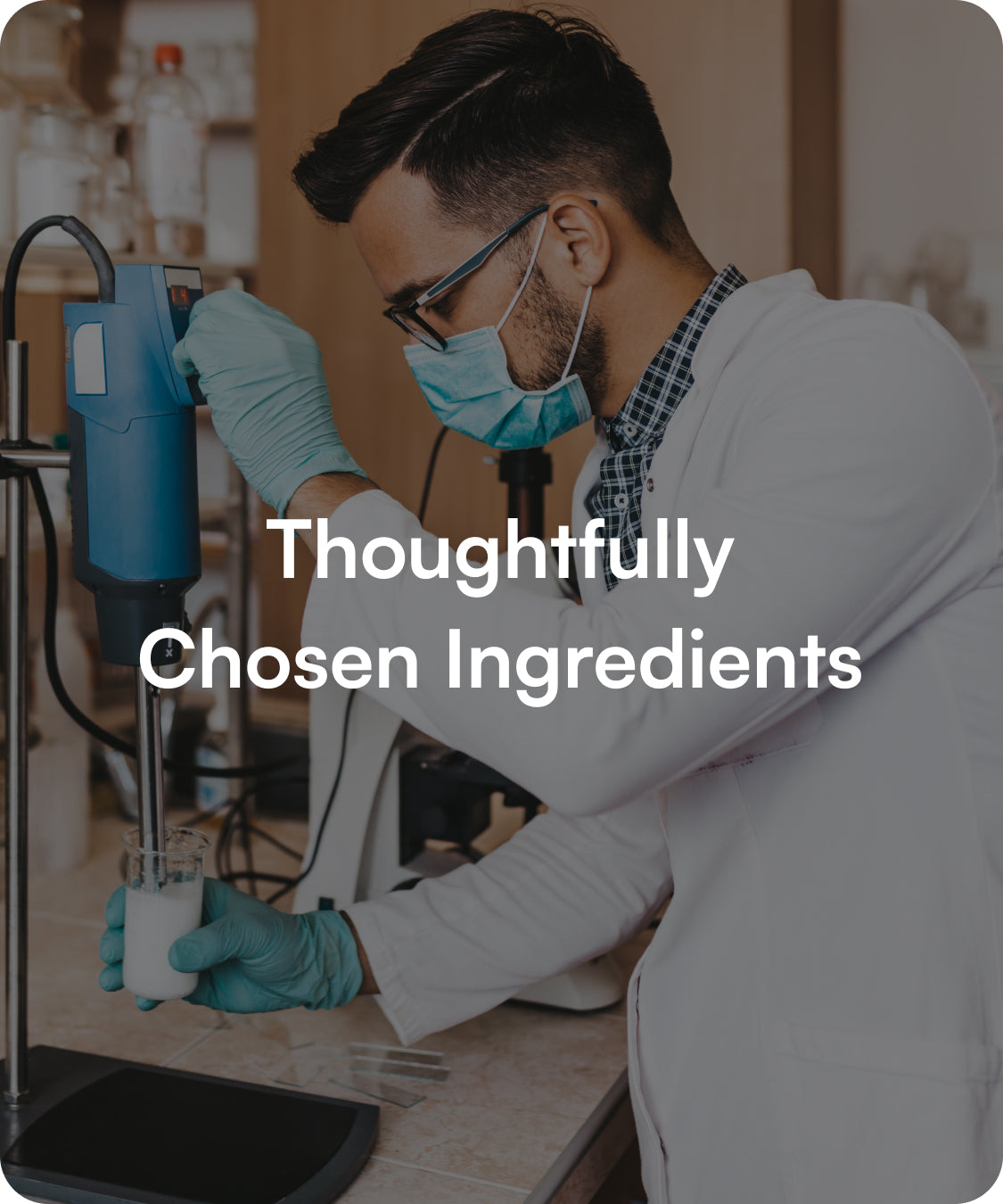 Thoughtfully Chosen Ingredients